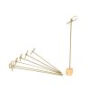 Long Bamboo Appetizer Picks